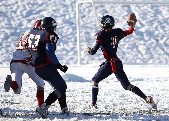 进行搜寻 进行搜寻