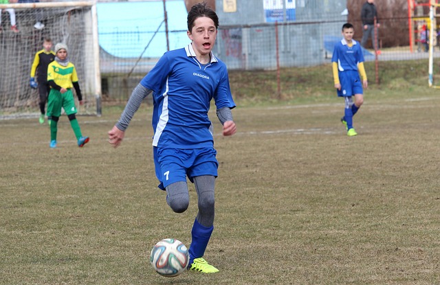 蓬勃发展的 蓬勃发展的