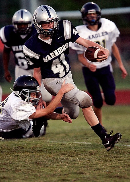 马匹建立信 马匹建立信