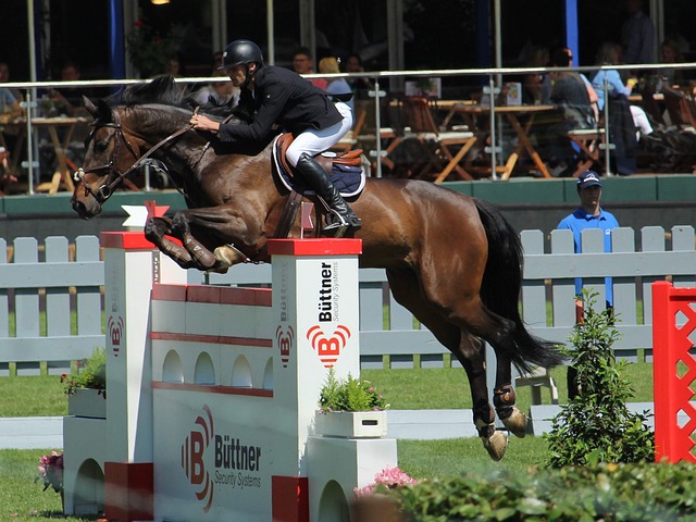 库里的战术 库里的战术