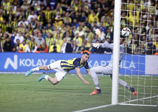 这位新星的 这位新星的